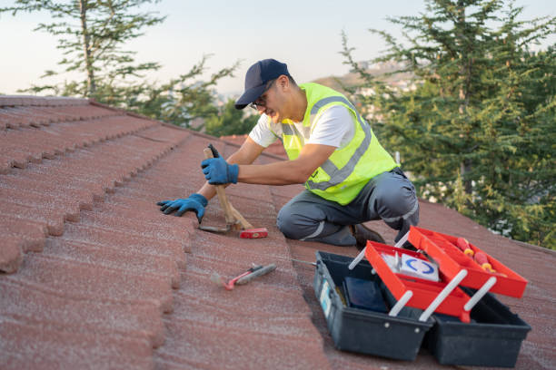 Best Roof Leak Repair  in Buckeystown, MD